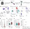 SOX9 is induced in HGSOC patients following platinum treatment and is highl