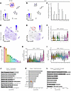Epithelial cell enrichment and single-cell imputation identify SOX9-enriche