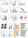 Ectopic SOX9 induction increases platinum resistance and stemness in cell l