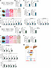 Drug administration targeting the IDH1/ammonia axis ameliorates MASH progre