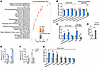 Dysfunction of minor intron splicing activates amino acid catabolism.