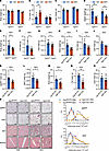 Sgk3-deficient mice are protected from glucocorticoid-induced obesity.