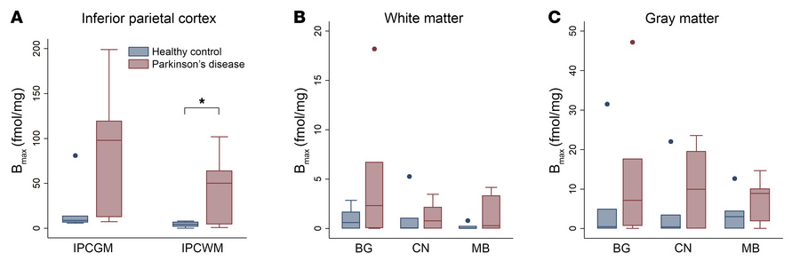 Bmax of 3H-JHU11761 from human frozen sections in Healthy Controls (N = ...