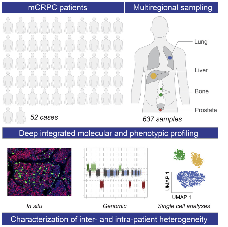 graphical abstract