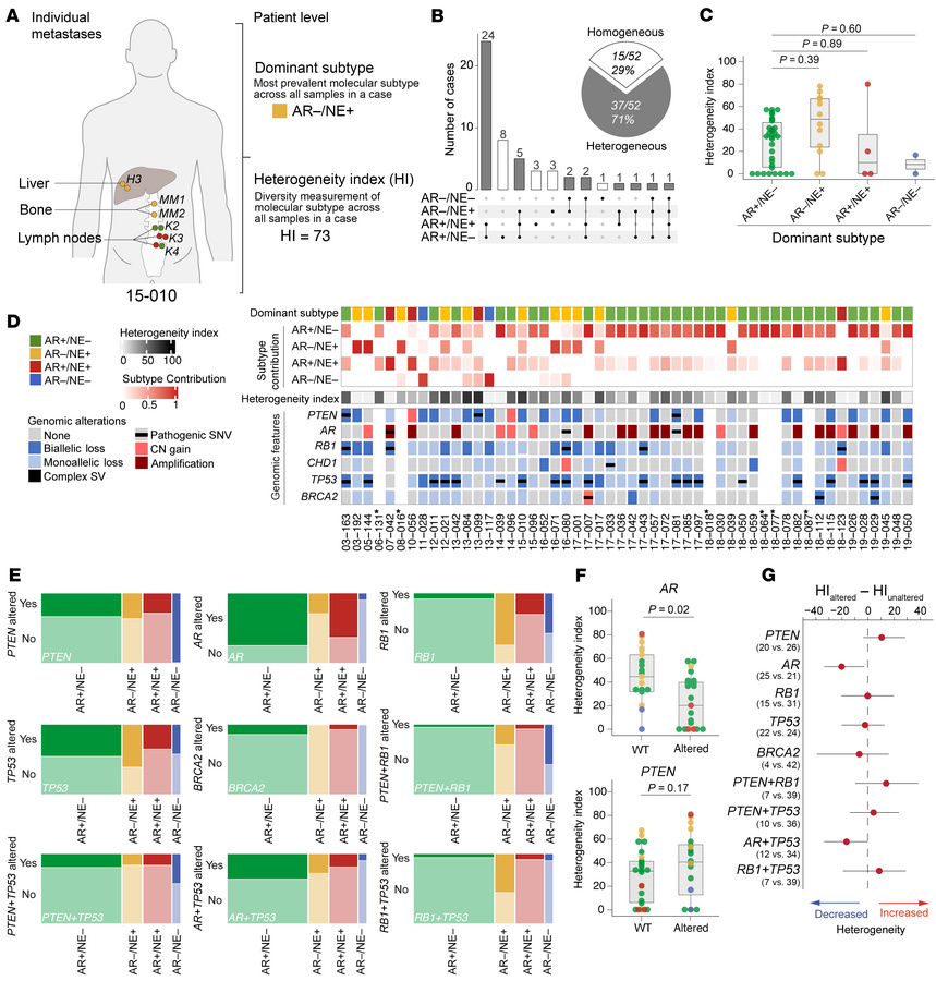 Patterns of subtype heterogeneity and association with genomic alteratio...