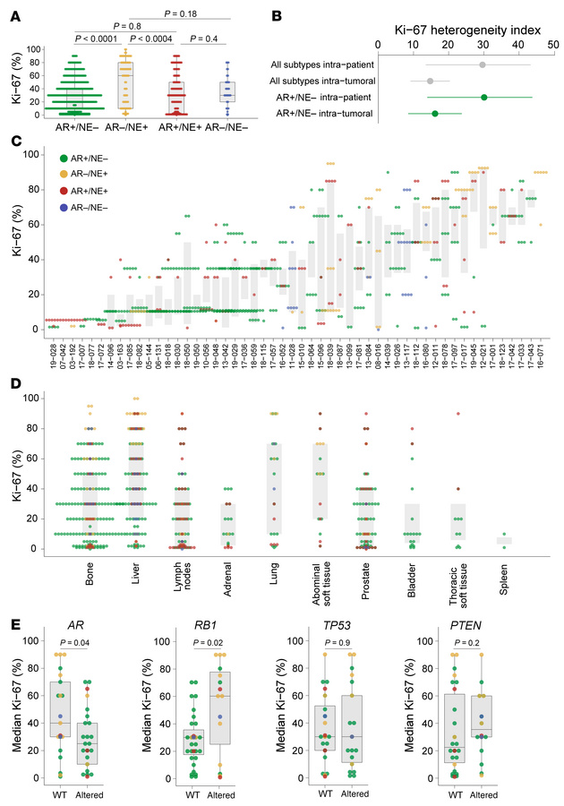 Diversity of cell proliferation patterns across metastatic sites.
(A) Ba...