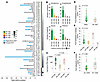 Clinical features associated with molecular subtypes and intrapatient heter