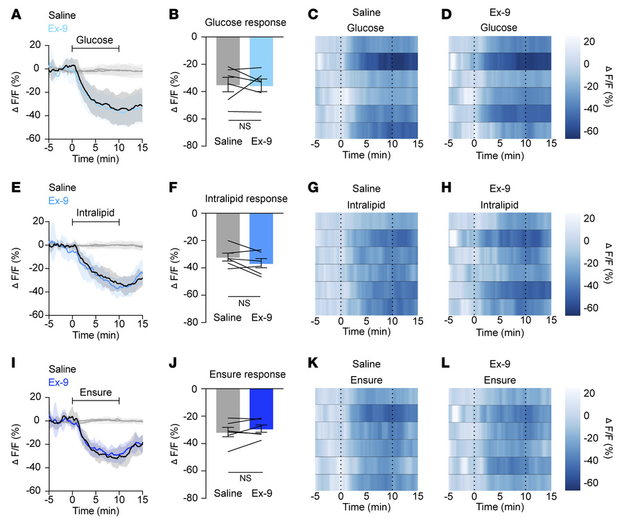 Signaling through GLP-1R is not necessary for nutrient-mediated AgRP neu...