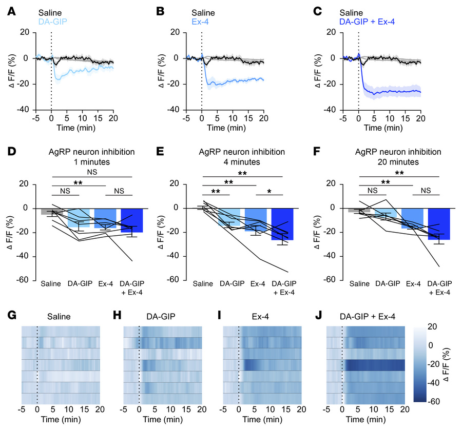 GIPR and GLP-1R agonists acutely inhibit AgRP neurons.
(A–C) Calcium sig...