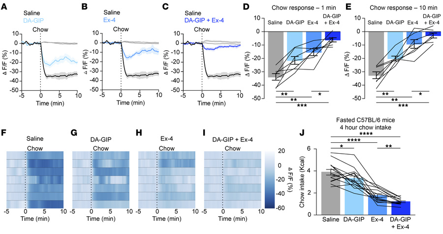 GIPR and GLP-1R agonists attenuate the AgRP neuron response to food pres...
