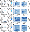 HSD-induced obesity does not alter GIPR or GLP-1R agonist-induced AgRP neur