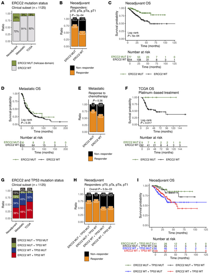 Clinical outcomes among patients in the neoadjuvant, metastatic, and TCG...