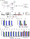 CRISPR-Select analysis establishes that helicase-domain ERCC2 mutations con