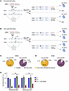 Single allele editing CRISPR-Select to quantify functional impacts of heter