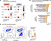 Comparative analysis of lung scRNA-Seq data reveals that remote lung injury
