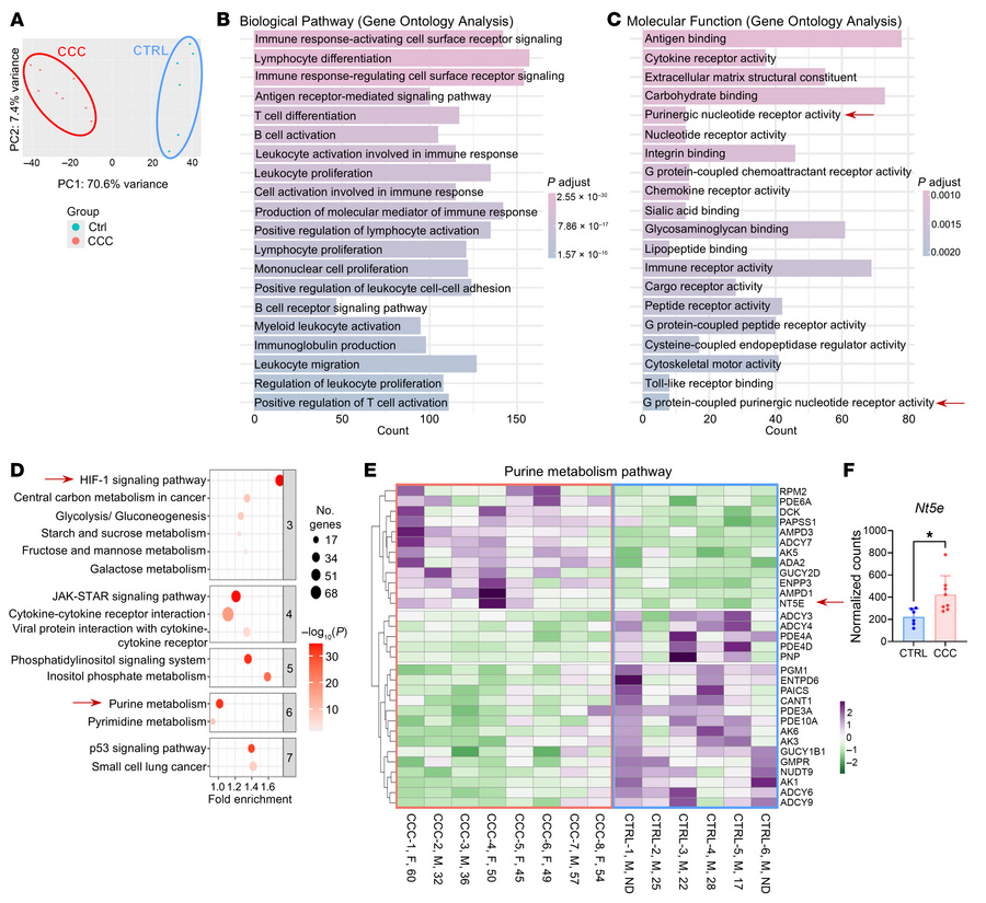 Cardiac explants from patients with CCC have enriched HIF-1 and purine m...