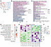 Cardiac explants from patients with CCC have enriched HIF-1 and purine meta