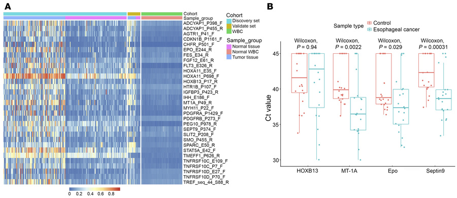 Differential methylation of candidate DNA markers between patients with ...