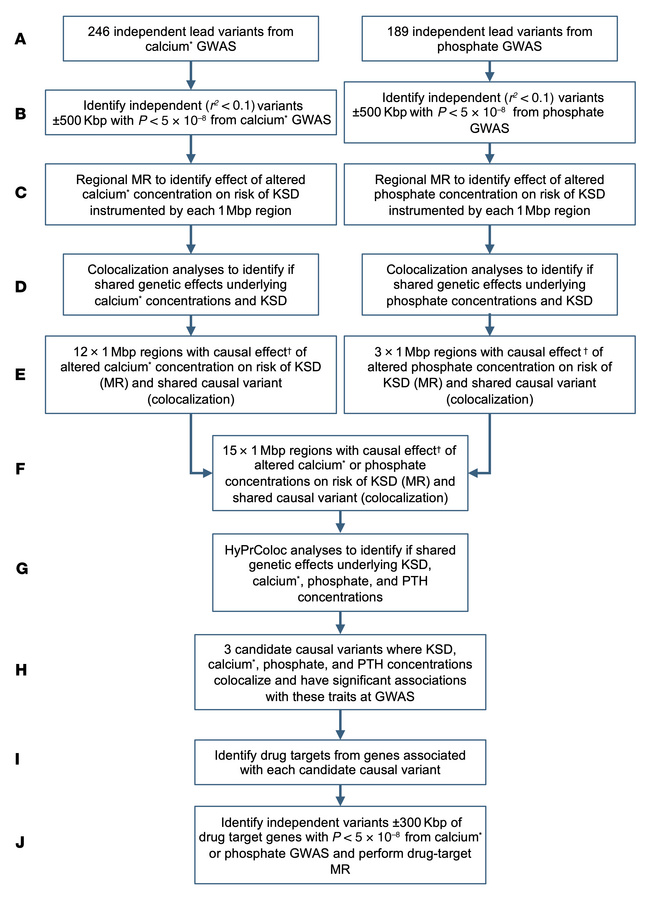 Study design to identify genetic variants predisposing to an increased r...