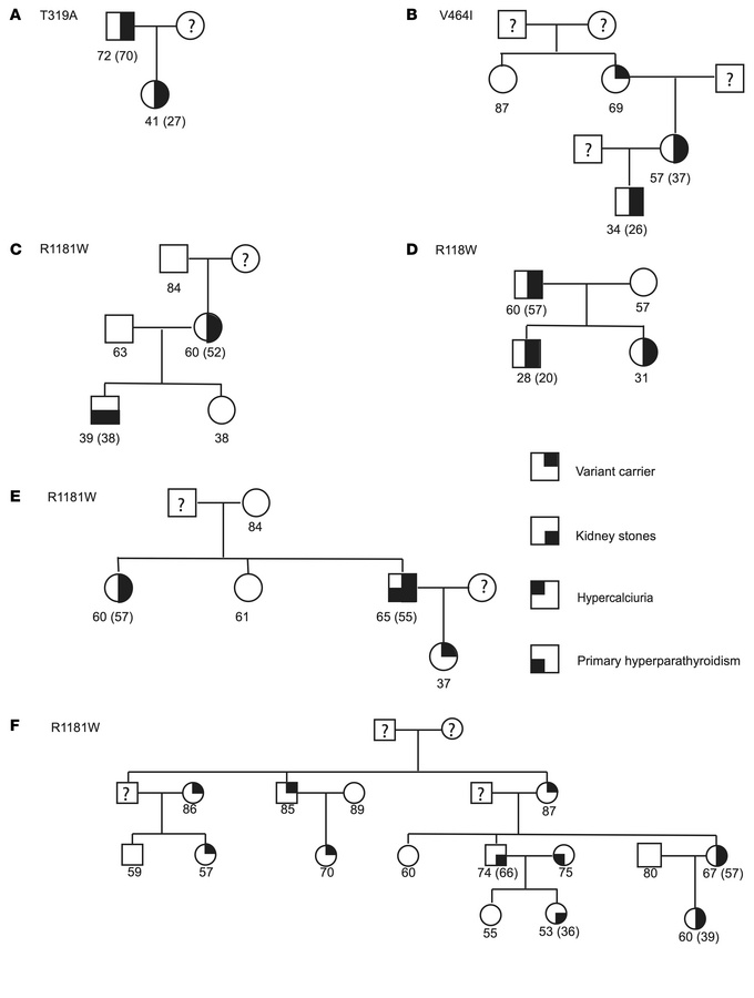 Family trees of DiscovEHR kindreds (A–F) were identified as harboring DG...