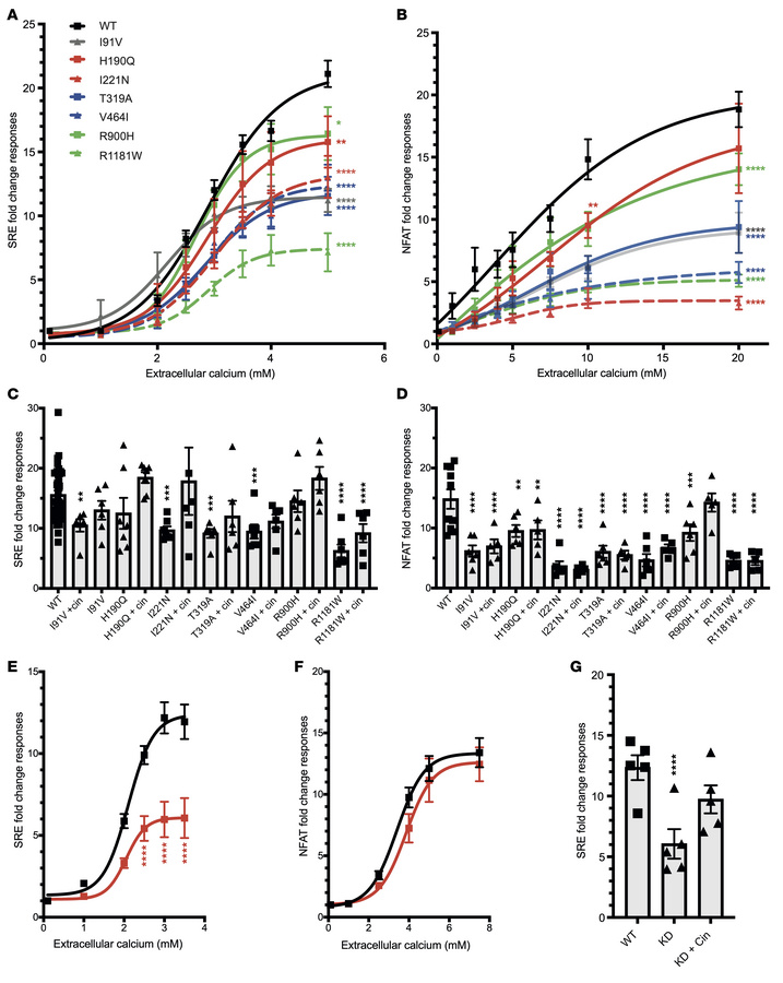 Functional characterization of kidney stone–associated DGKδ variants.
(A...