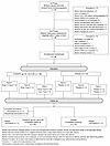 CONSORT diagram.