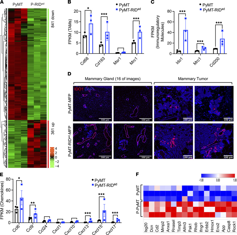 Inflammation suppression in adipocytes alters the tumor microenvironment...