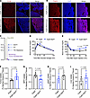 Metabolic dysfunction and increased lipid uptake in tumors of PyMT-RIDad mi