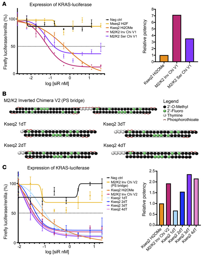 Characterization of MYC/KRAS chimeric siRNA mechanism of action.
(A) Dos...