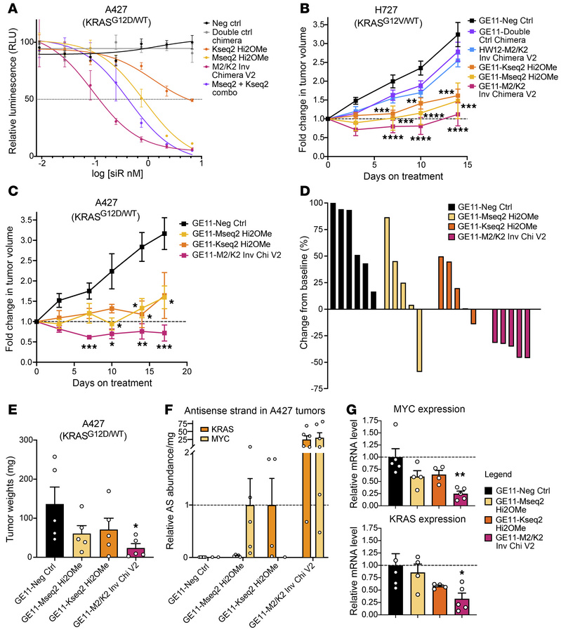 In vivo activity and efficacy of M2/K2 inverted chimeric siRNA.
(A) Repr...