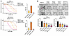 Effects of M2/K2 inverted chimeric siRNA on cancer cell viability.