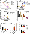 In vivo activity and efficacy of M2/K2 inverted chimeric siRNA.