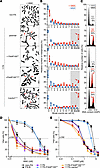 Ectopic expression of FAAP100WT or FAAP100T542P in FAAP100-deficient cells.