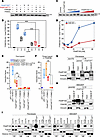 Ligase activity, interaction, and subcellular localization studies with FAA