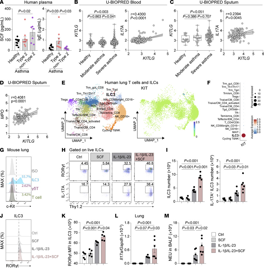 SCF expression correlates to IL-17A and MPO in asthmatic patients and sy...