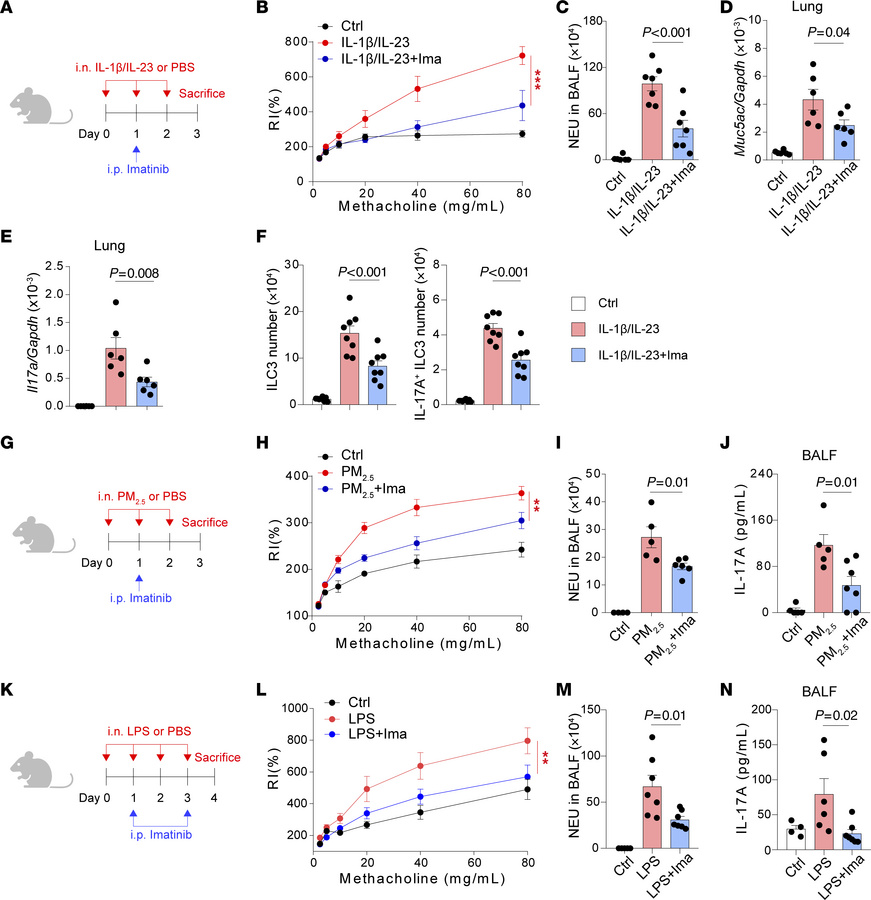 c-Kit inhibition by imatinib ameliorates neutrophilic inflammation, AHR,...