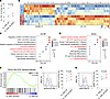 SCF promotes ILC3 effector function and STAT3 pathway.