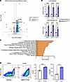 Bulk RNA-seq of Adamts7SMCTG primary SMCs reveals an increase in lipid-hand