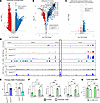 ADAMTS7 drives AP-1–dependent chromatin remodeling and transcriptional repr