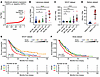 PROX1 is upregulated in patient samples exhibiting AR pathway loss and line