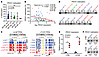PROX1 is epigenetically regulated by DNA methylation.