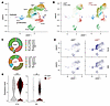 A20ZF7 mice show proliferation and expansion of Th17 and regulatory T cells