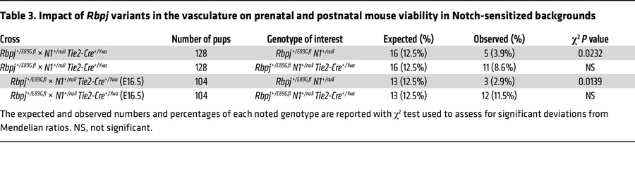Impact of Rbpj variants in the vasculature on prenatal and postnatal mou...