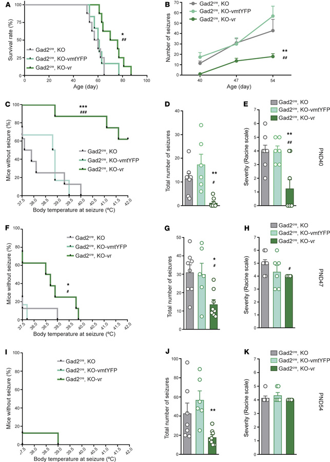 
Ndufs4 reexpression in external-pallidal Gad2-expressing neurons extend...