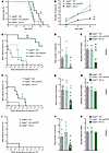 Ndufs4 reexpression in external-pallidal Gad2-expressing neurons extends li