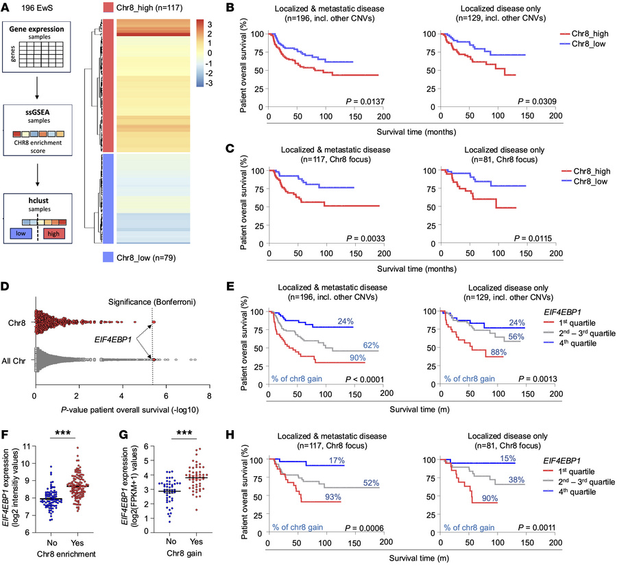 Chr8 gain drives overexpression of the clinically relevant translation i...