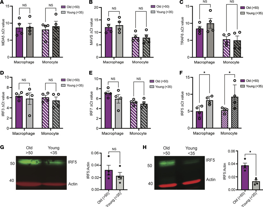 MDMs and monocytes isolated from older individuals exhibit higher levels...