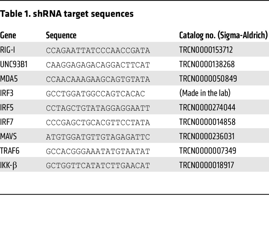shRNA target sequences