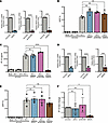MDA5 is required for HIV-1–induced innate immune response in macrophages.