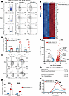OCA-B expression marks encephalitogenic stem-like CD4+ T cells.